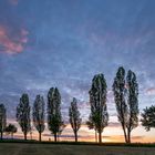 Abendstimmung an der Pappelallee