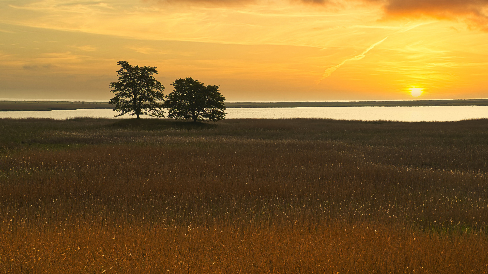 Abendstimmung an der Schlei