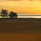 Abendstimmung an der Schlei