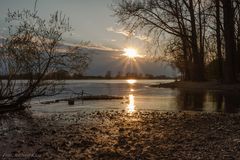 Abendstimmung an der Siegmündung