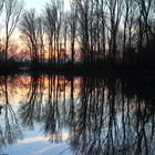 Abendstimmung an der Siegmündung bei Bergheim an der Sieg