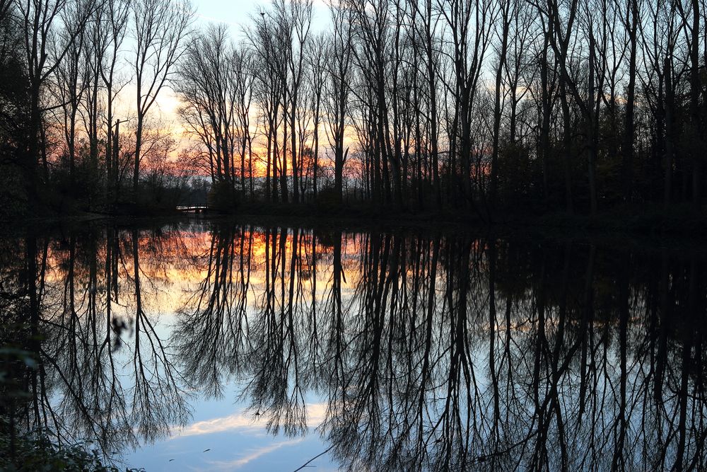 Abendstimmung an der Siegmündung bei Bergheim an der Sieg