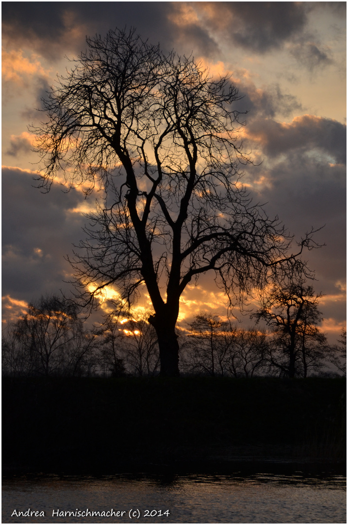 Abendstimmung an der Stör