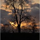 Abendstimmung an der Stör