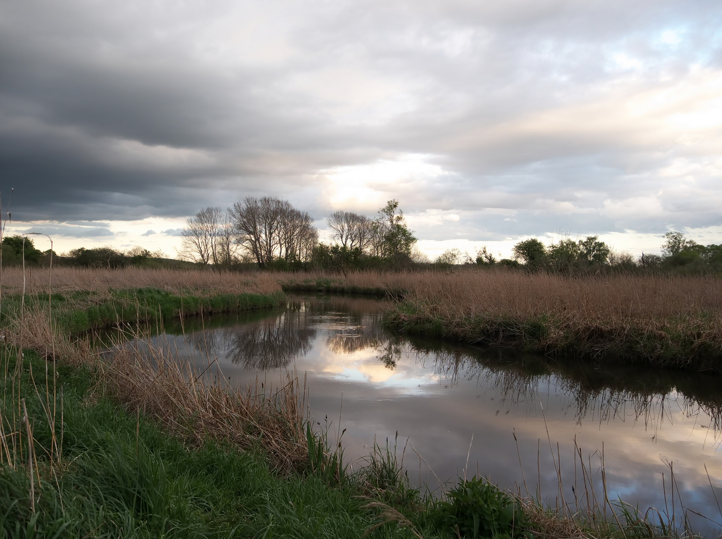 Abendstimmung an der Tollense