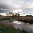 Abendstimmung an der Tollense