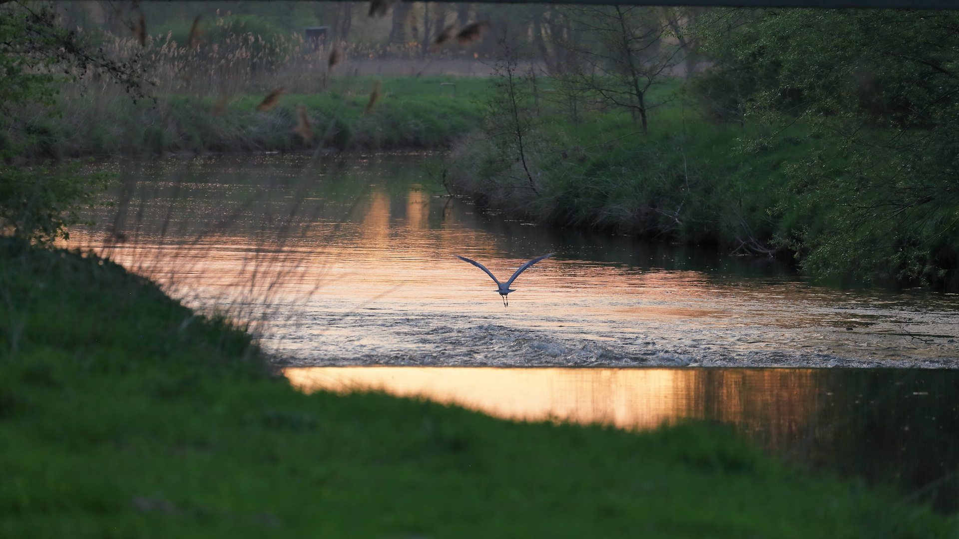 Abendstimmung an der Vechte