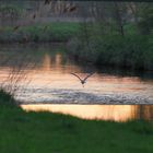 Abendstimmung an der Vechte