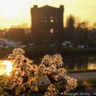 Abendstimmung an der Weser