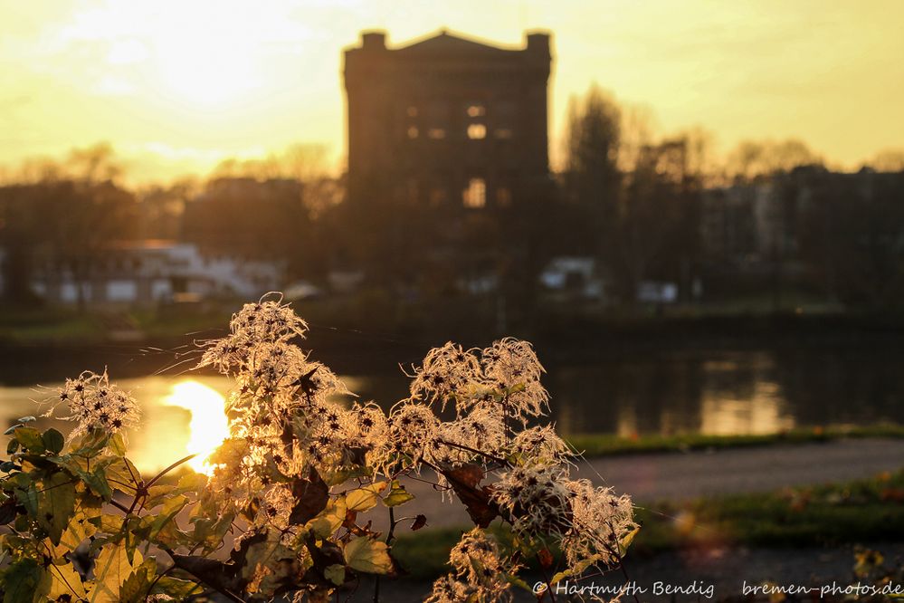 Abendstimmung an der Weser