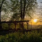 Abendstimmung an der Weser