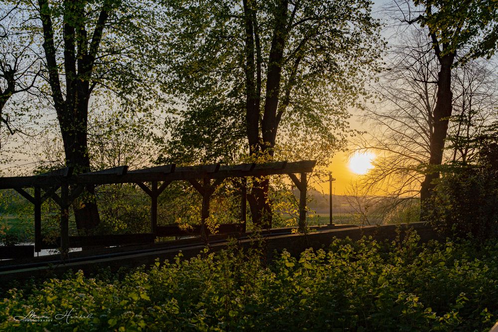 Abendstimmung an der Weser