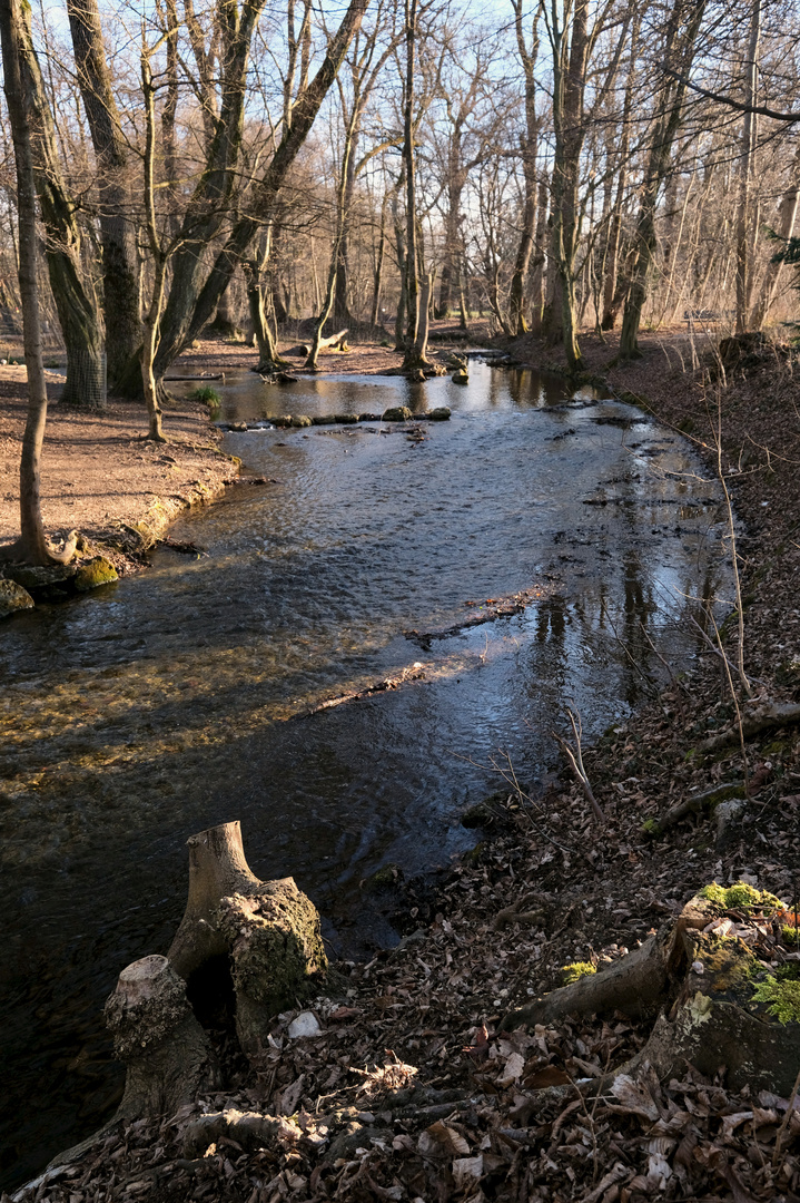 Abendstimmung an der Würm