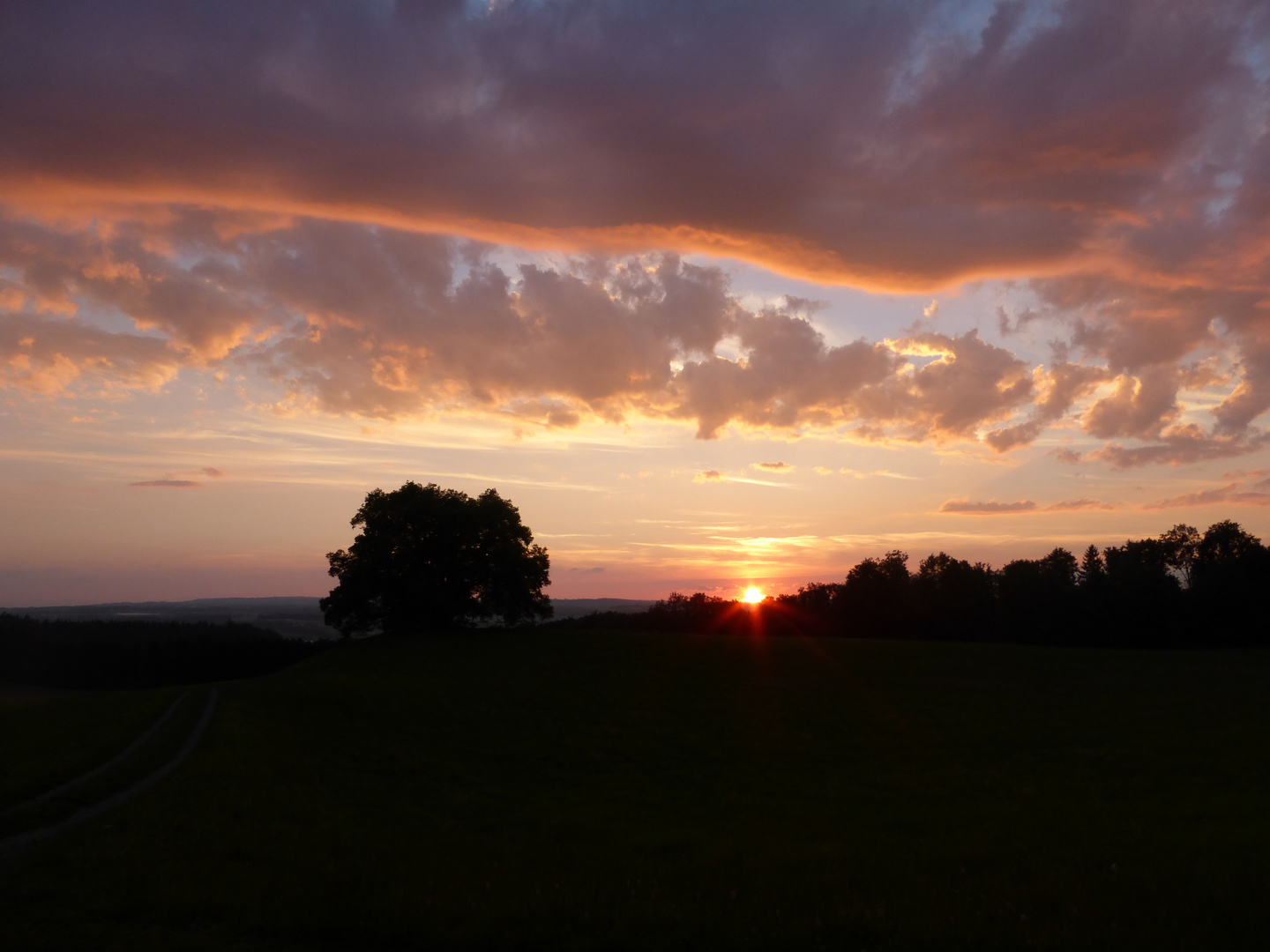 Abendstimmung an der Zundelbacher Linde