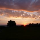 Abendstimmung an der Zundelbacher Linde