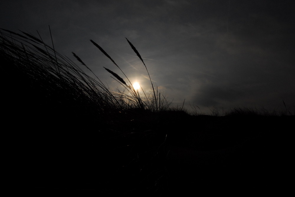 Abendstimmung auf Borkum