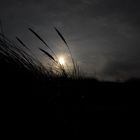 Abendstimmung auf Borkum