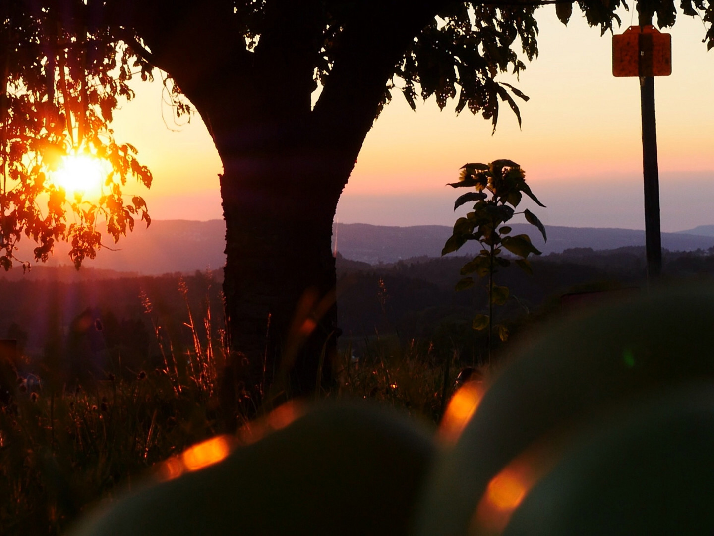 Abendstimmung auf dem Bauernhof