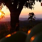 Abendstimmung auf dem Bauernhof