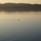 Abendstimmung auf dem Berzdorfer See bei Görlitz