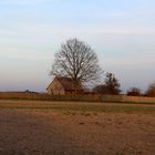 Abendstimmung auf dem Brachfeld