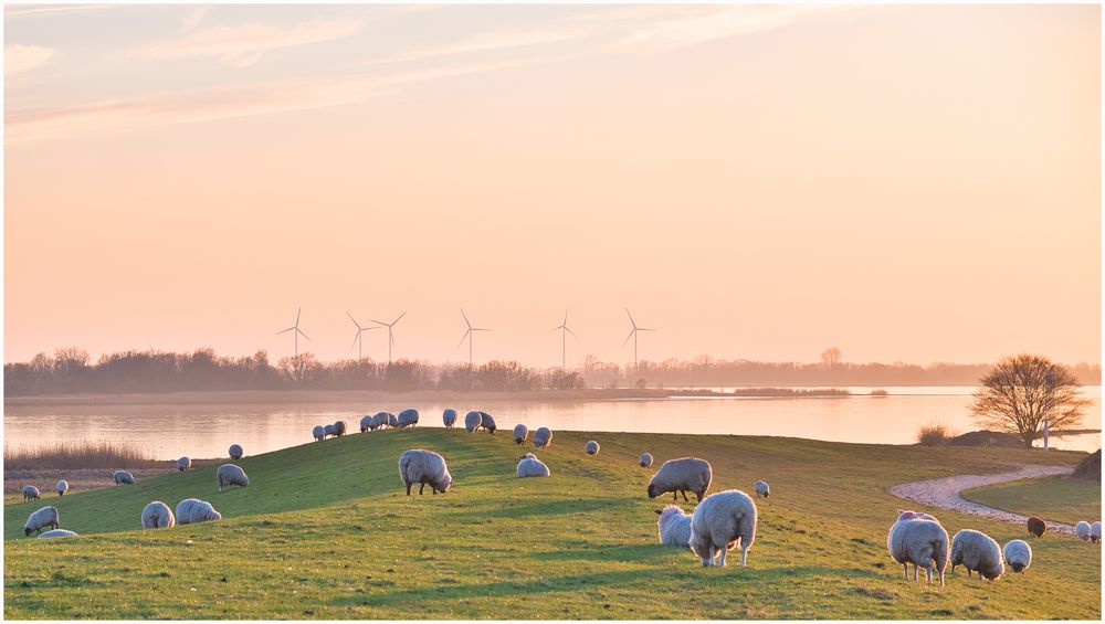 Abendstimmung auf dem Deich