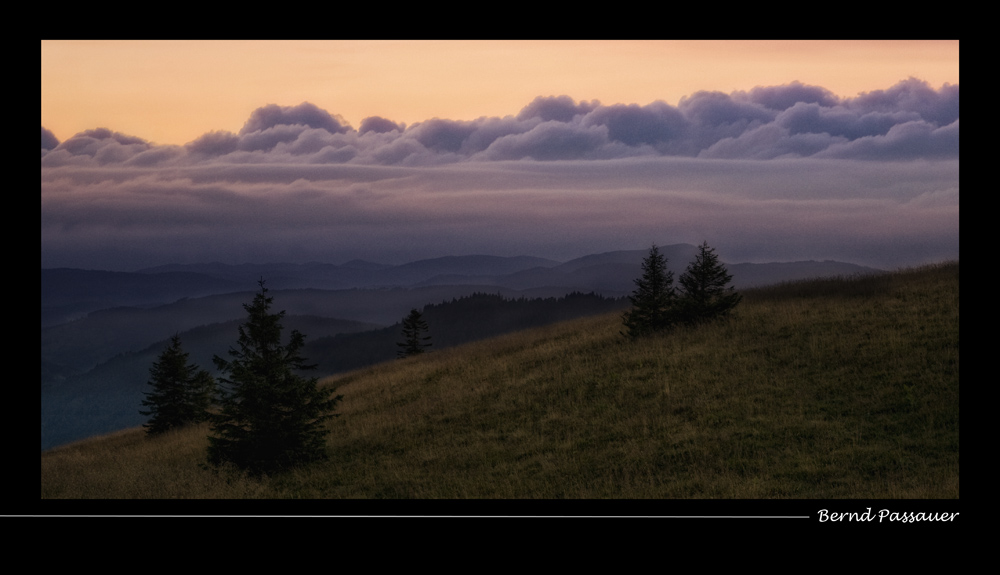 Abendstimmung auf dem Feldberg_01