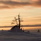 Abendstimmung auf dem Fjell_1