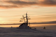 Abendstimmung auf dem Fjell_1