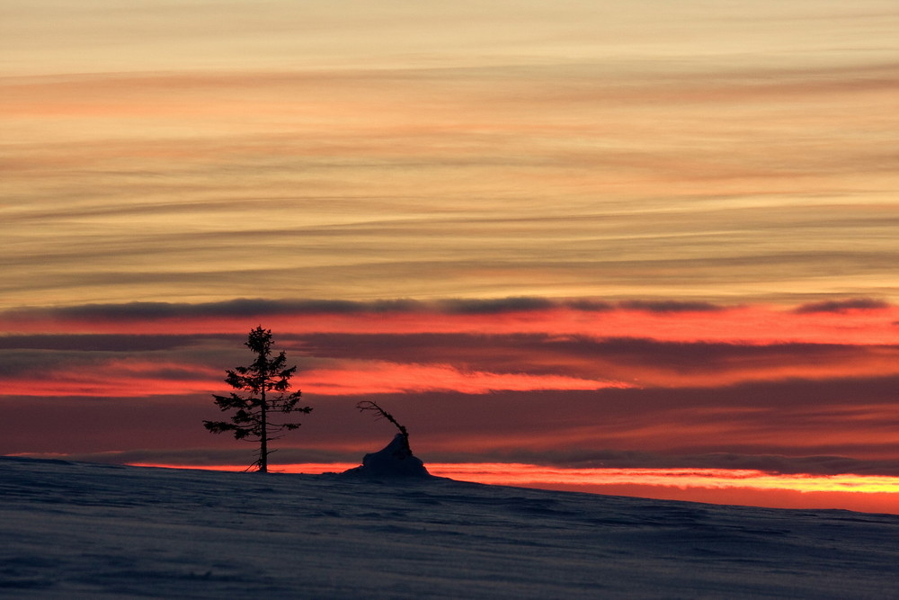 Abendstimmung auf dem Fjell_2