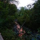 abendstimmung auf dem franzikusweg in niederau/wildschönau