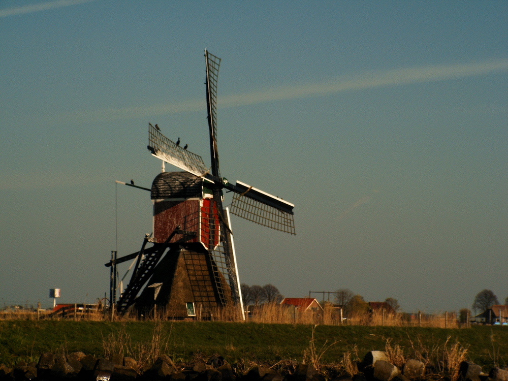 Abendstimmung auf dem Haarlemer Meer/Holland3