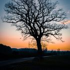 Abendstimmung auf dem Heimweg