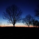 Abendstimmung auf dem Heimweg 