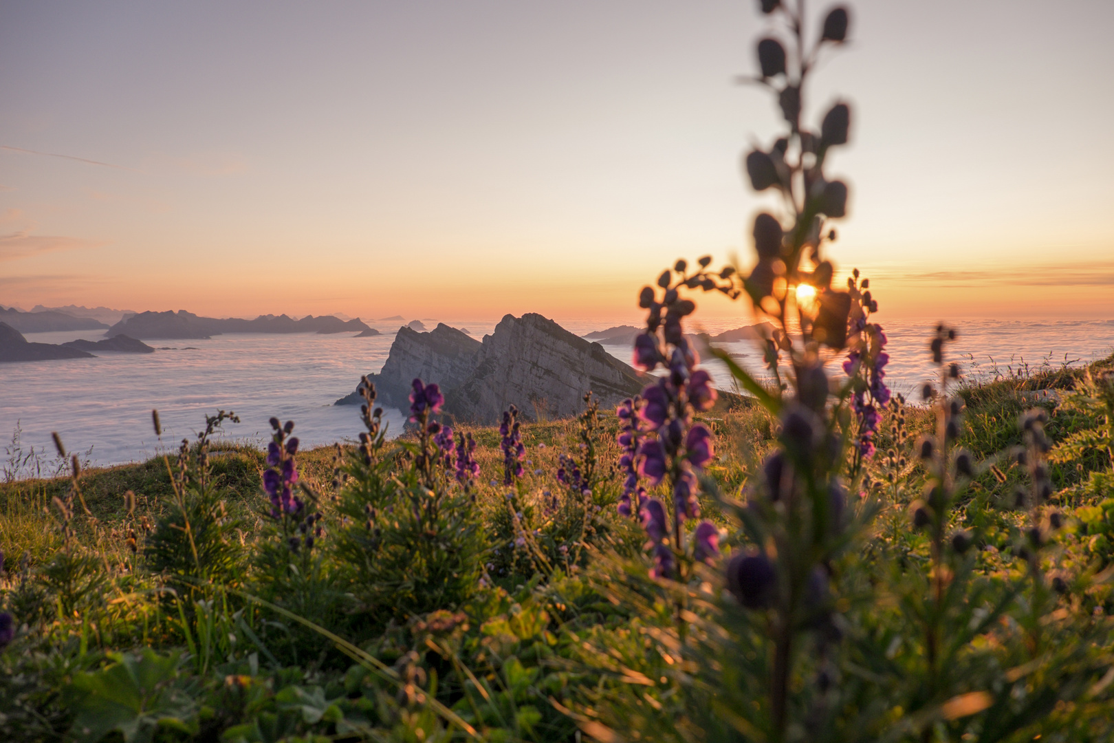 Abendstimmung auf dem Hinterrugg