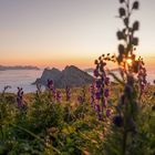 Abendstimmung auf dem Hinterrugg