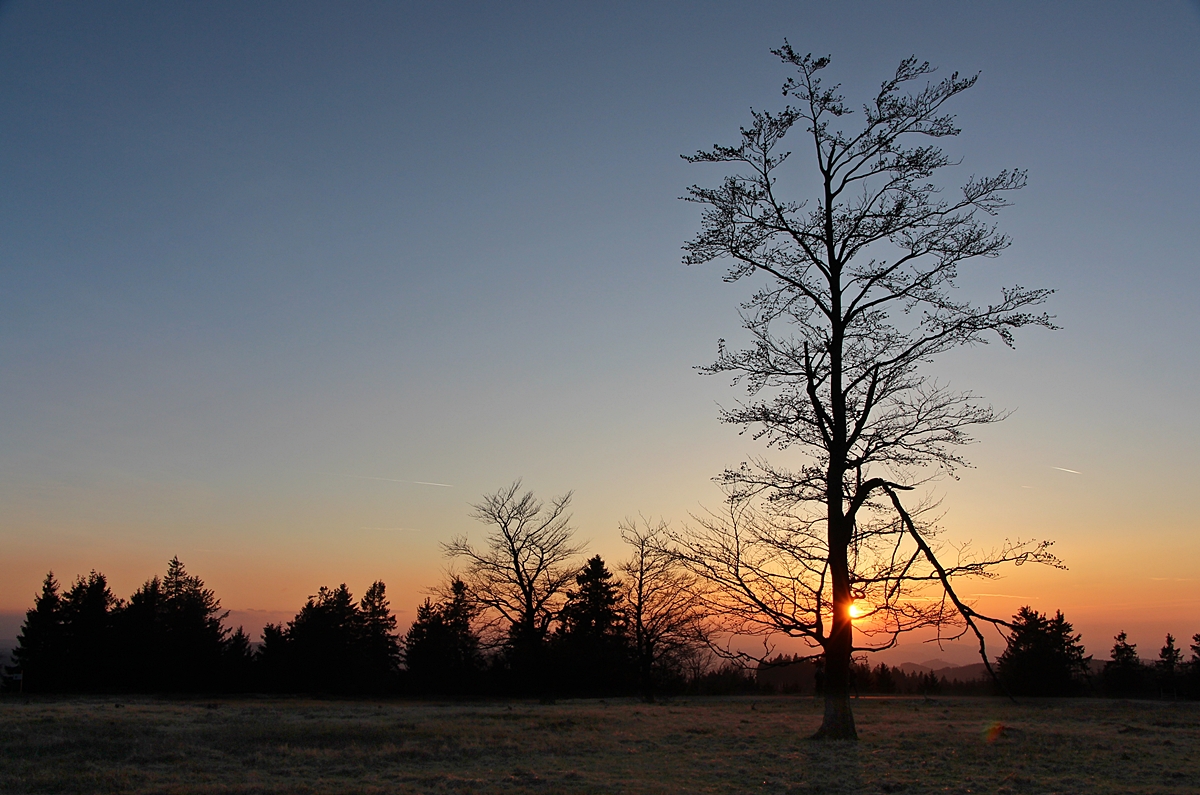 Abendstimmung auf dem Kahlen Asten