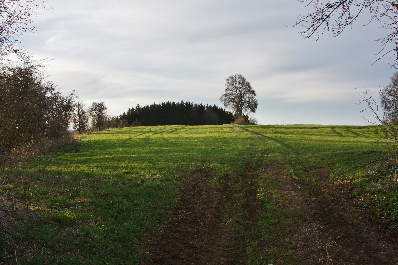 Abendstimmung auf dem Kastanienberg