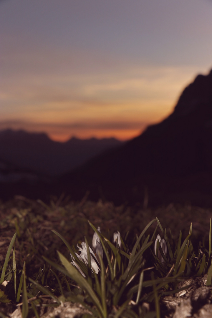 Abendstimmung auf dem Klausepass