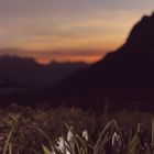 Abendstimmung auf dem Klausepass