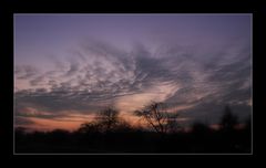 Abendstimmung auf dem Land