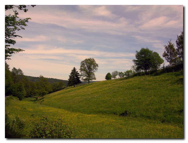 Abendstimmung auf dem Land