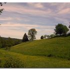 Abendstimmung auf dem Land