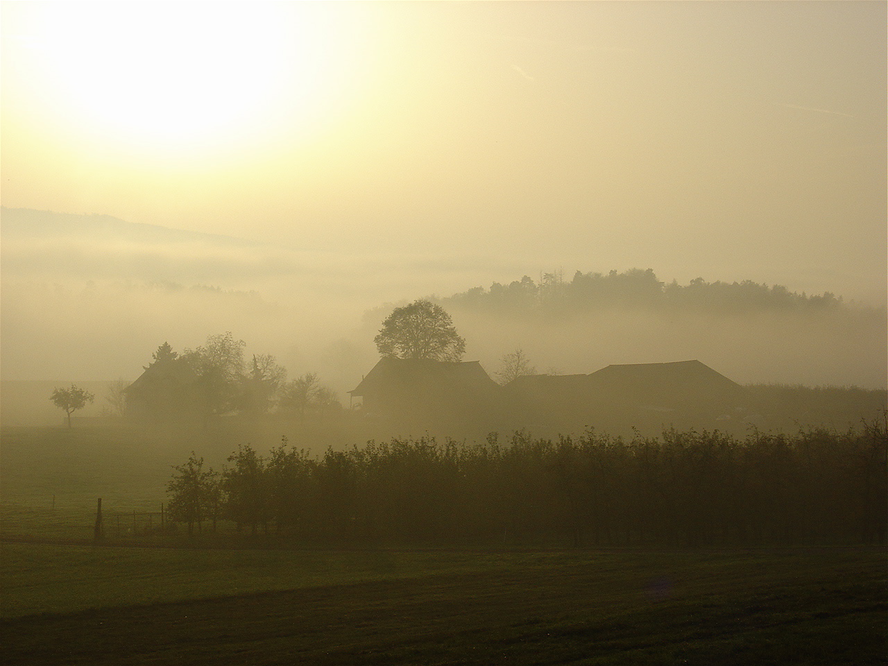 Abendstimmung auf dem Lande