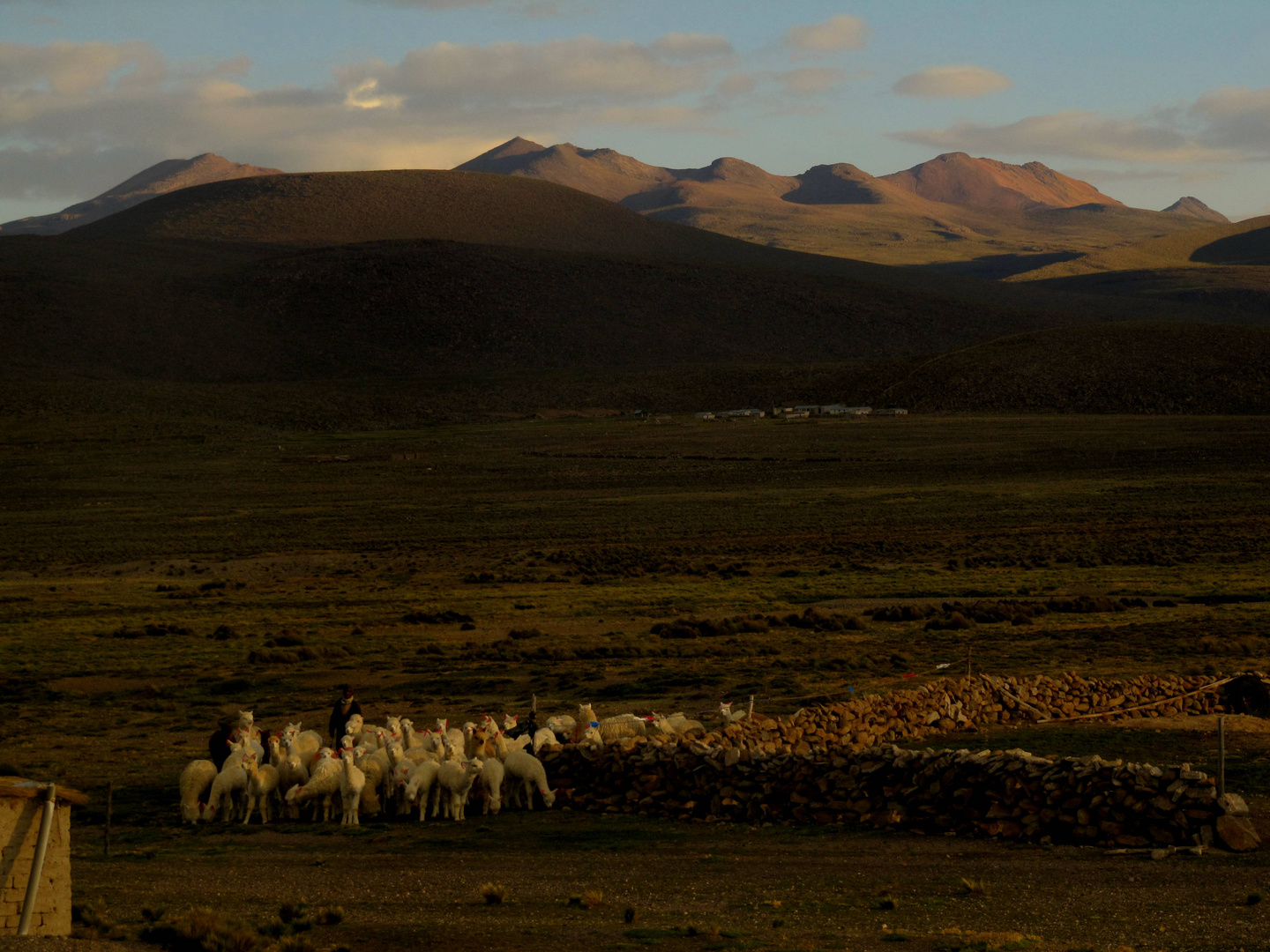 Abendstimmung auf dem Patapampa Pass