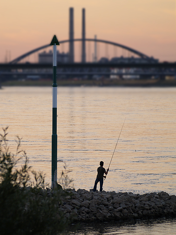 Abendstimmung auf dem Rhein gestern Abend vor dem Sporthafen Neuss-Grimlinghausen II