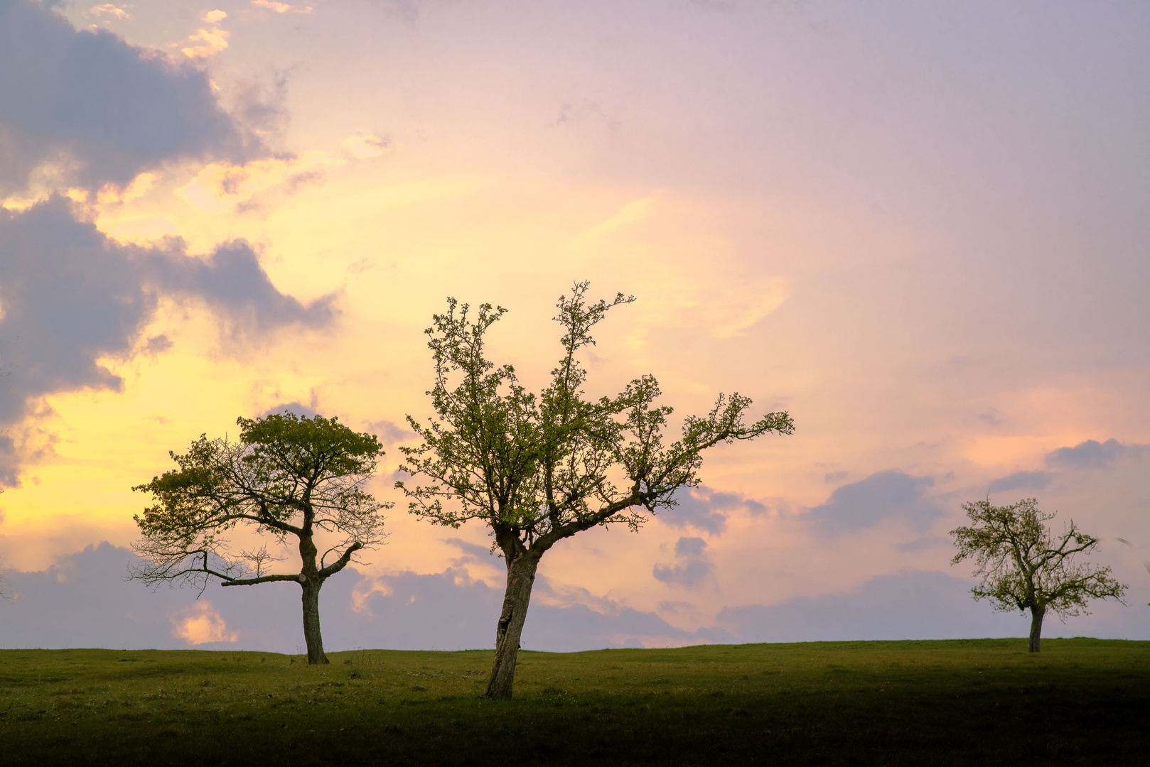 Abendstimmung auf dem Roßfeld