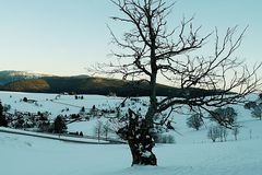 Abendstimmung auf dem Schauinsland im Winter.