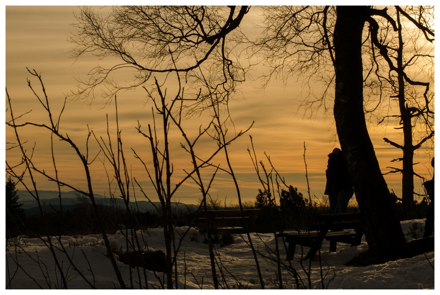 Abendstimmung auf dem Schliffkopf II