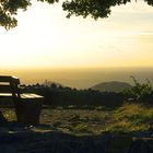 Abendstimmung "auf" dem Siebengebirge